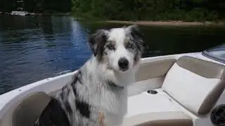 The Lake - Don't skip it