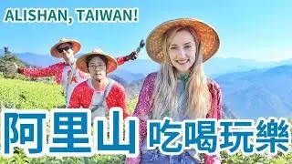 跟著加拿大人一起去阿里山！沒想到可以這樣玩！梅花鹿、奮起湖便當、採茶！| Alishan, Taiwan Travel Vlog