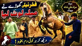 Haslah Horse Dance | Fakher E Neeli | Naru | Horse Dance at Dhool Beats and Flute in Pakistan
