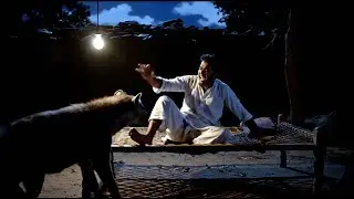 &ldquo;Hyena Attacks Man Sleeping Outside | Night CCTV Footage&rdquo; ||