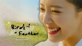 Birds of A Feather  •  𝑴𝒖𝒍𝒕𝒊𝒇𝒂𝒏𝒅𝒐𝒎 ;༊  [Kdrama klips]