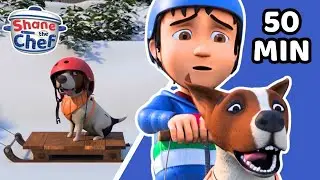 Winter Olympics: Runaway Sledge! ❄️🛷✨ | Shane the Chef | Cartoons For Kids