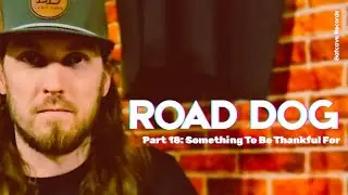 Road Dog 18:  SHRIMP - STUFFED -  MUSHROOMS 