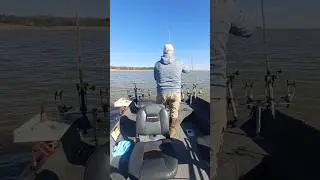 NYD!  First fish of 2026!