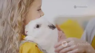 Adorable Pet Tricks & Cute Moments Compilation