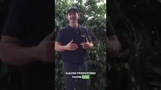 An&aacute;lise de Solo Tradicional: Frequ&ecirc;ncia Anual ou Intermitente?