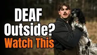 Why Your Dog Goes Deaf Outside And How To FIX It