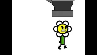 Marigold dies