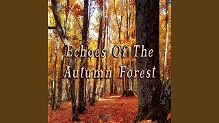 Enchanted Forest Ambience - Magical Forest Sounds