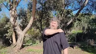 Shoulder pain test, lifting the elbow