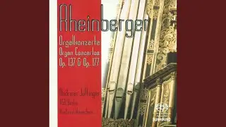 Suite for Violin and Organ in C Minor, Op. 166: IV. Moto perpetuo