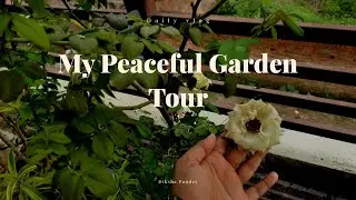 My Peaceful Houseplant Tour (30+ Plants) 🧑&zwj;🌾 Gardening ✨decluttering