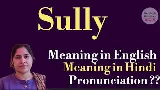 sully meaning l meaning of sully l sully ka hindi mein kya matlab hota hai l vocabulary l 