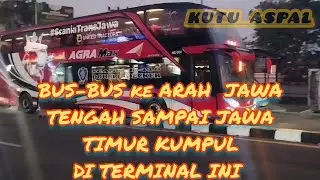 Hunting Bus AKAP Angkatan Pagi di Terminal Parung~channel kutu aspal