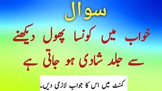 Islamic Questions and Answers | Top General Knowledge Questions and Answers 