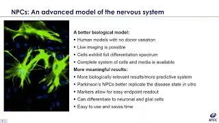 Neural Progenitor Cells Better Biological Models of Neurodegenerative Disease Webinar