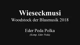 Wieseckmusi  -  Eder Peda Polka ( Woodstock der Blasmusik  2018 )