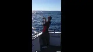 AJN on Pink Snapper in Fishing Australia.MOV