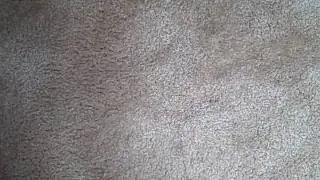 ResponseToPoorNotificaion.AVI