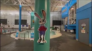 Idaho Steelheads Great Wolf Lodge Swimsuit Disney Infinity Judy Hopps Grand Mound Washington 