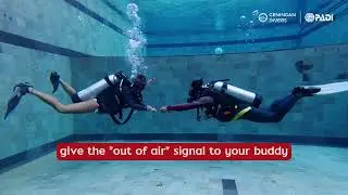 PADI Open Water Course Skills - Alternate Air Source