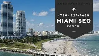 Miami SEO Agency | Professional SEO Expert in Miami, FL