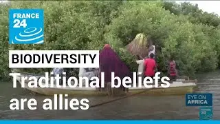 In Benin and Togo, traditional beliefs are allies for protecting biodiversity &bull; FRANCE 24 English