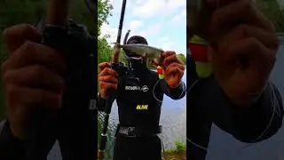 This Fishing Hook Lets You Cheat In The Ocean (IG kanama_bait)