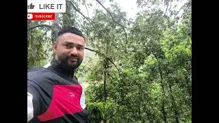 solo survival in the Forest ! #ForestJourney