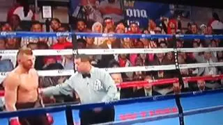 Angry Boxing Fan