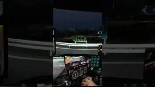 MS Ultrawide | ETS2 | DIY DD WHEEL 