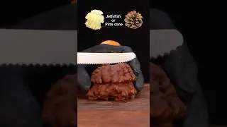 Jellyfish or Pine cone🪼
