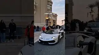 5 minutes in Monaco 🤣 #monaco #luxury #cars