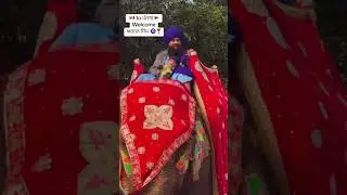 Canada to Punjab First Entry 🚩