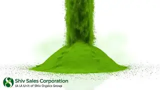 Shiv Sales Tulsi Extract