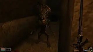 Raiding a Tomb Somewhere in Molag Mar