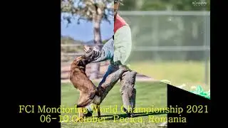 FCI Mondioring WCh Romania 2021