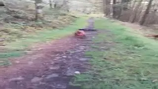 pitbull training begins