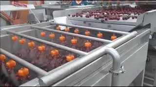 Parallel wool roller cleaning, Vegetables and fruits cleaning machine,fruit waxing machine