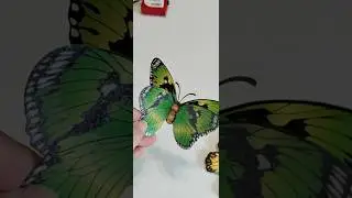 Обзор продукта Dollar Tree