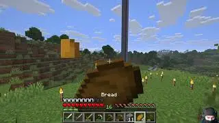 Minecraft Java Edition part 20