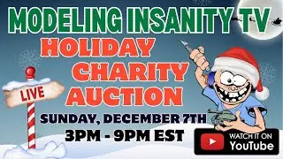Modeling Insanity Live Holiday Charity Auction