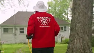 Bug Shield in Action
