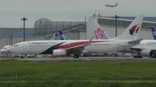 ✈[4K] Malaysia Airlines B737 9M-MXT landing & takeoff @Narita Airport rwy34R/L(成田空港)