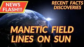 SUN'S MAGNETIC FIELD LINES!!! POWERFUL COMPUTER SIMULATION!! Recent Science Fact Discovery 
