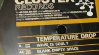 Cluster Records 02 - Temperature Drop - What Is Soul ?