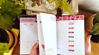2025 Sol Planner - quick flip through
