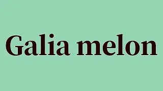 Galia melon Pronunciation and Meaning