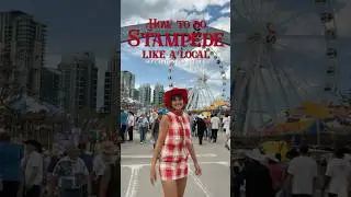 How to do Stampede like a local