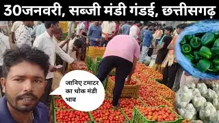 30जनवरी today tomato price sabji mandi gandai chhattishgarh 